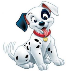 a smiling dalmatian dog